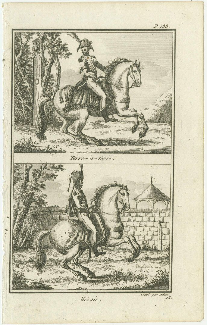 Set Of 6 Antique Horse Riding Prints, Capriole, Croupade, Le Trot, Courbette photo Art