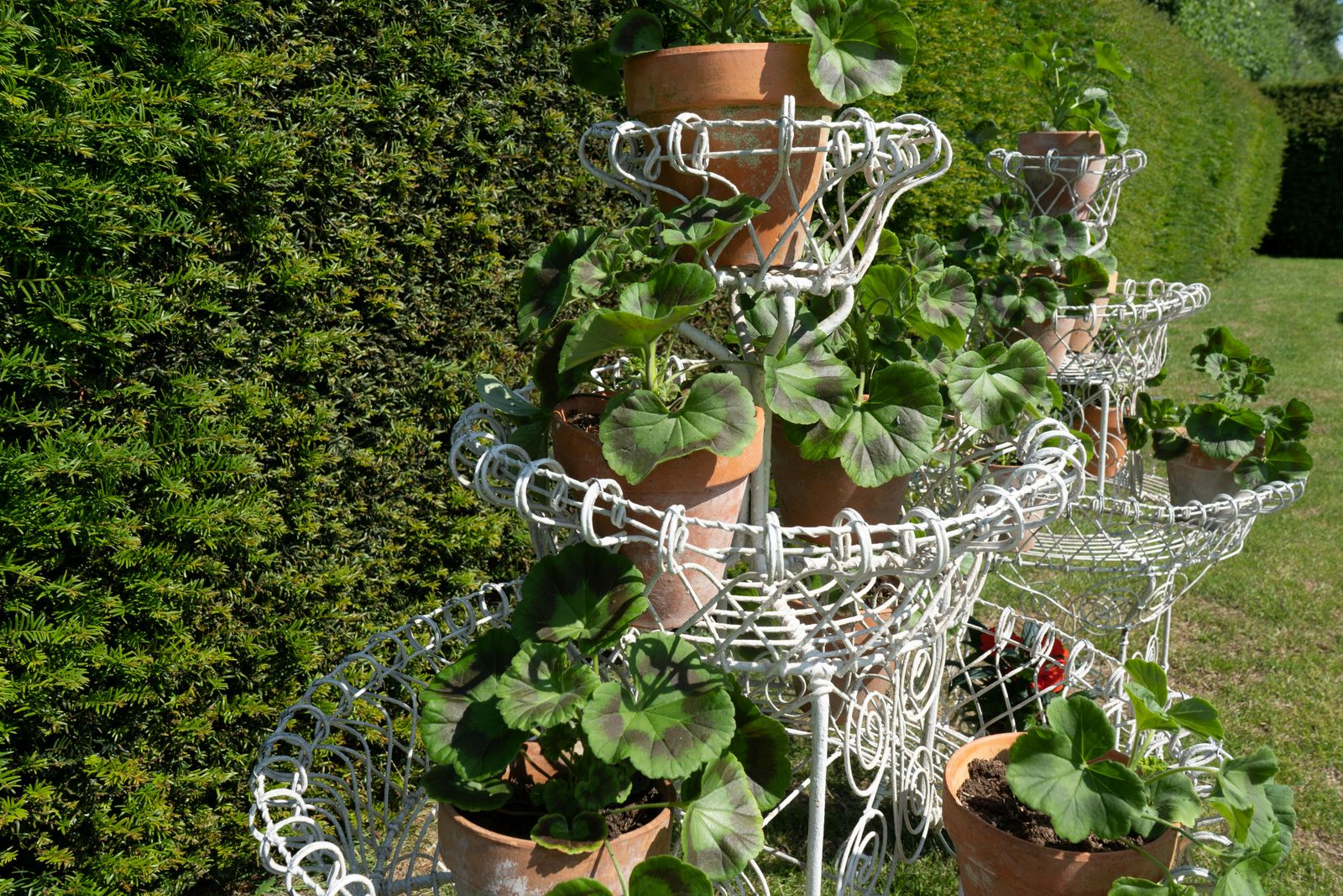A Pair Of Victorian Wirework Garden Planters photo furniture