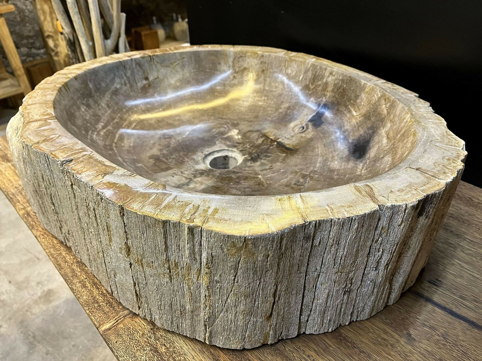 photo for sale Petrified Wood Sink Grey/ Beige Tones, Organic Modern   Top Quality, Idn 2023