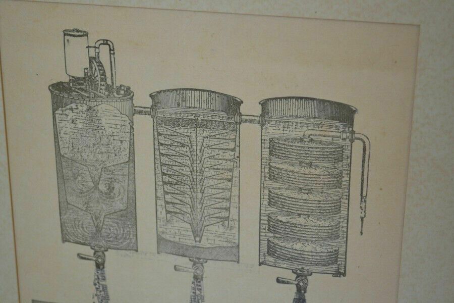 Vintage Print  Etching photo for sale