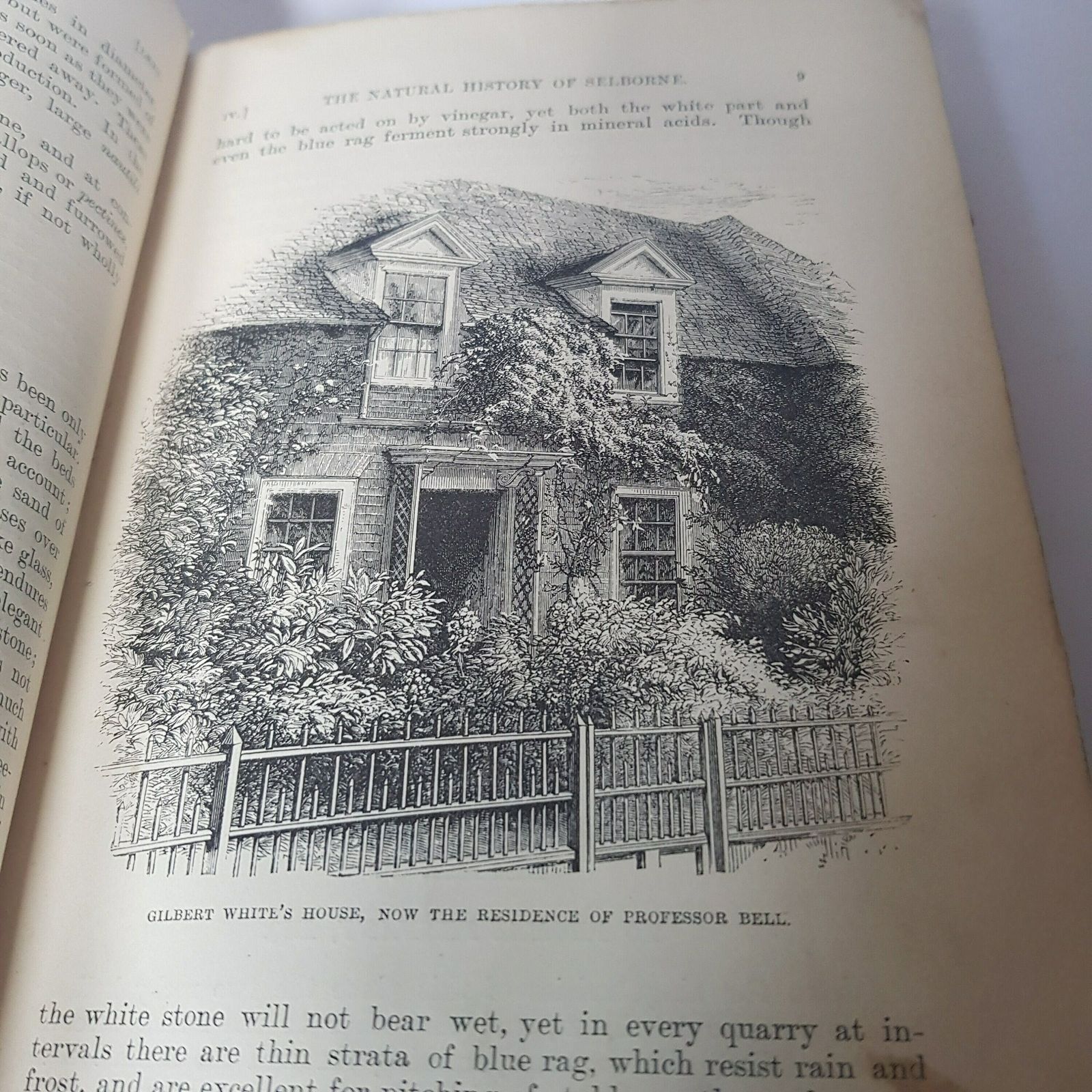 photo furniture The Natural History Of Selborne By Gilbert White 1887 Edition, Natural History Classic