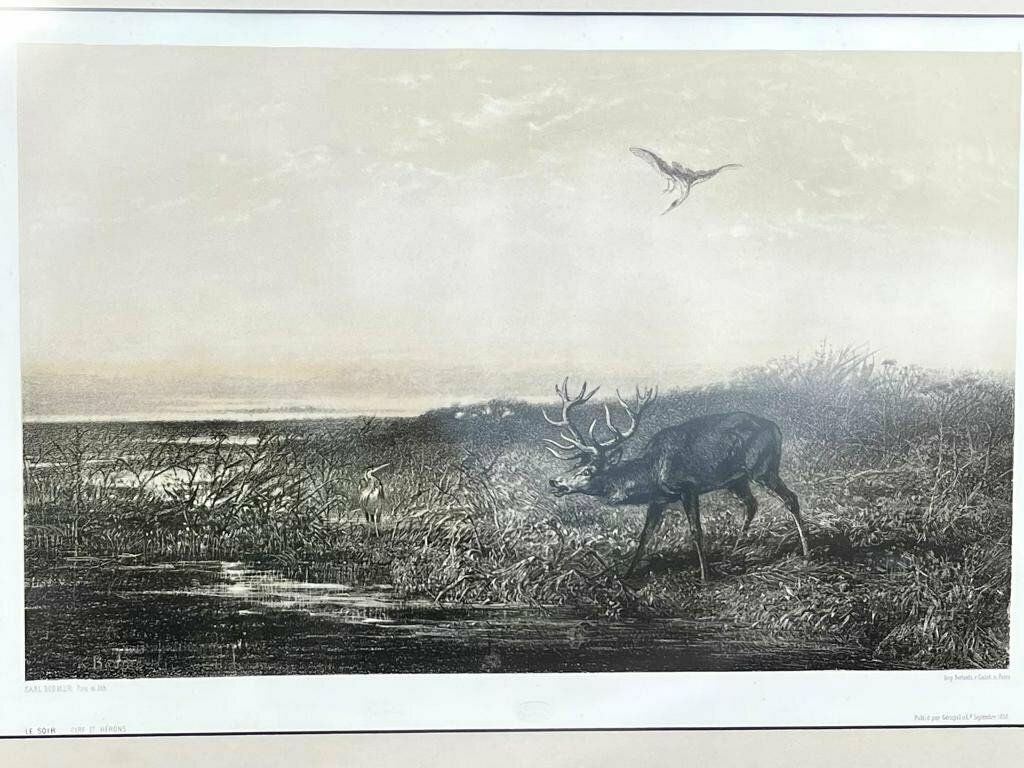 Original Vintage Framed Karl Bodmer (1809   1893) ‘Le Soir. Cerf Et Herons’ The Evening Stag 1858 Lithograph photo for sale
