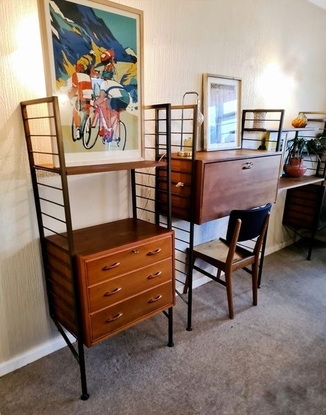 Four Bay Mid Century Ladderax Units