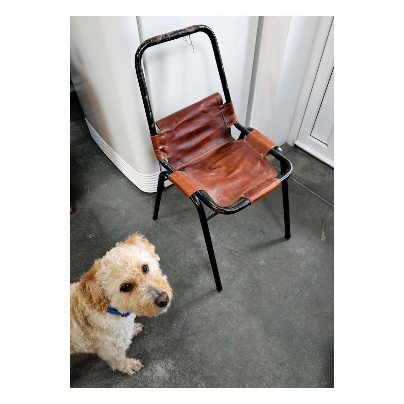 photo for sale Set Of 3 Bauhaus Chairs "Les Arcs" By Charlotte Perriand, Early Edition // Cognac Leather Dining Chairs // Made In France In 1950s