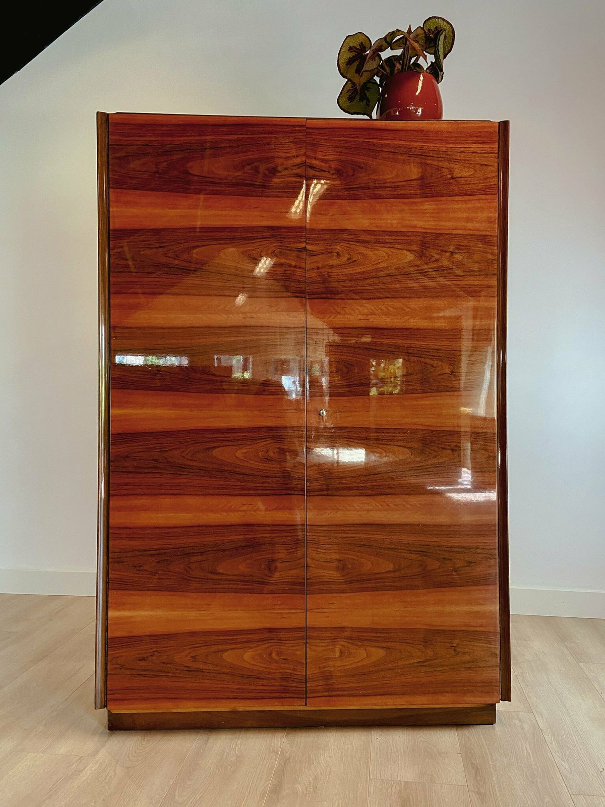 Veneer Wardrobe With Staggered Rods From The 1960s photo furniture