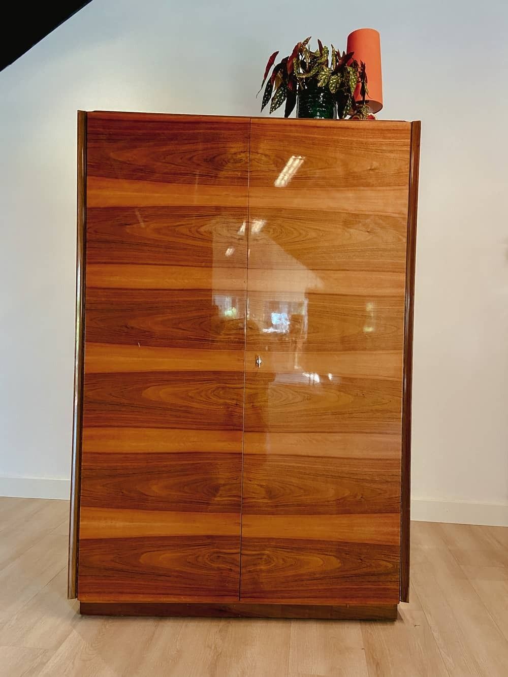 Veneer Wardrobe With Staggered Rods From The 1960s photo for sale