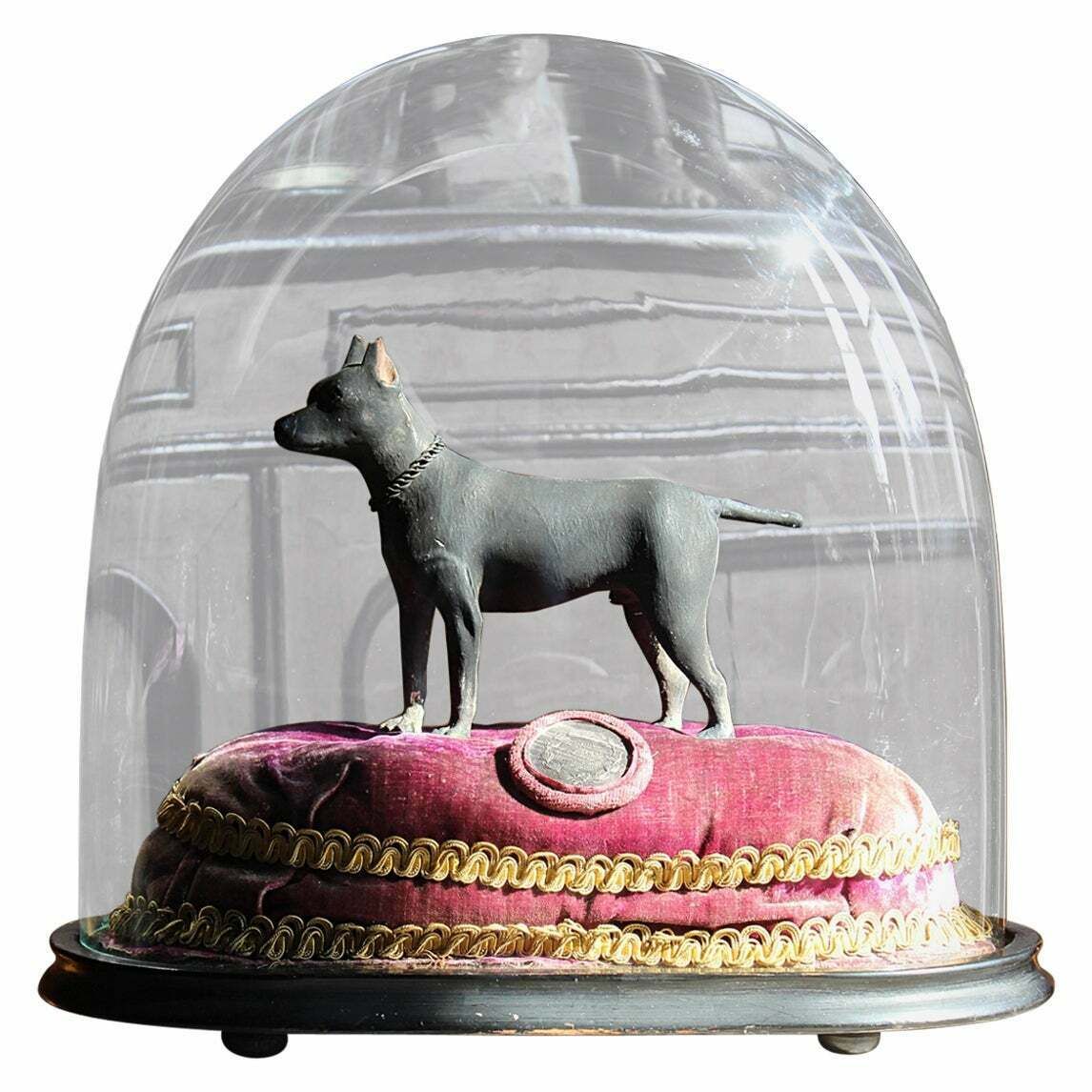 In Memory Of Jacko The Champion Ratter Circa 1850 Taxidermy Dog Interest