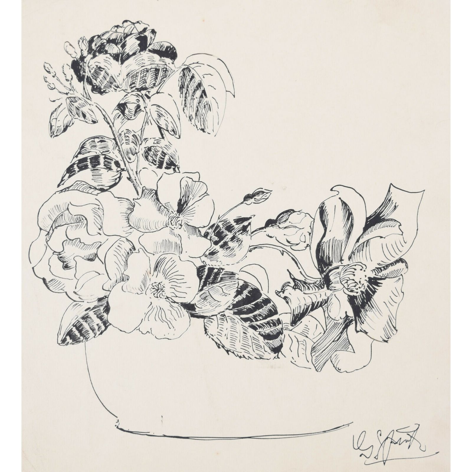 Flowers Still Life Study Drawing By Gerald Mac Spink