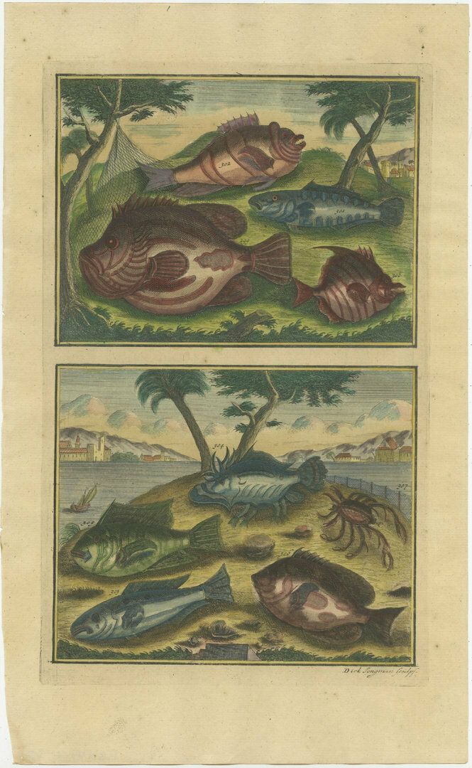 Set Of 2 Colo Red Antique Prints Of Various Fishes And Crustaceans photo for sale
