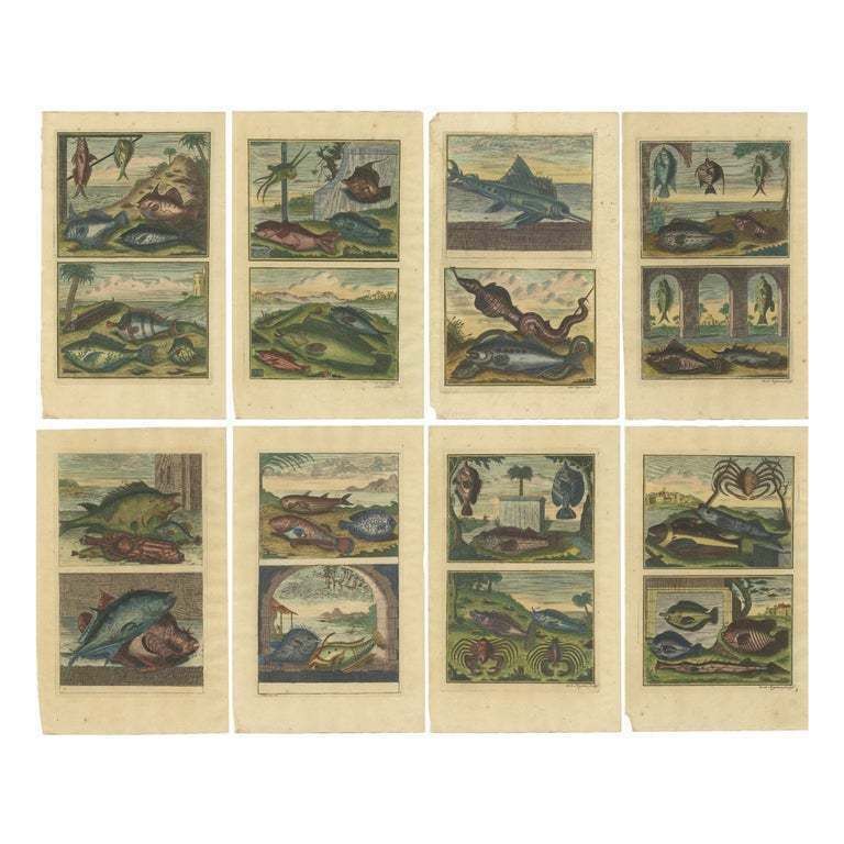 Set Of 8 Colo Red Antique Prints Of Various Fishes And Crustaceans