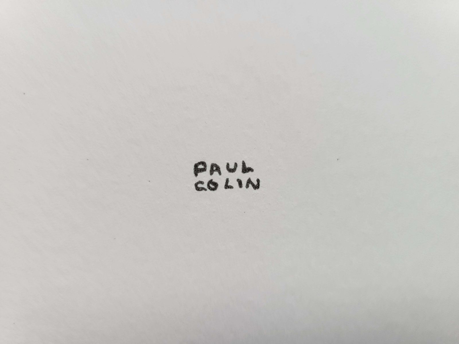 Paul Colin   Le Tumulte Noir 12 Lithograph On Ivory Rivoli Wove Paper photo vinterior