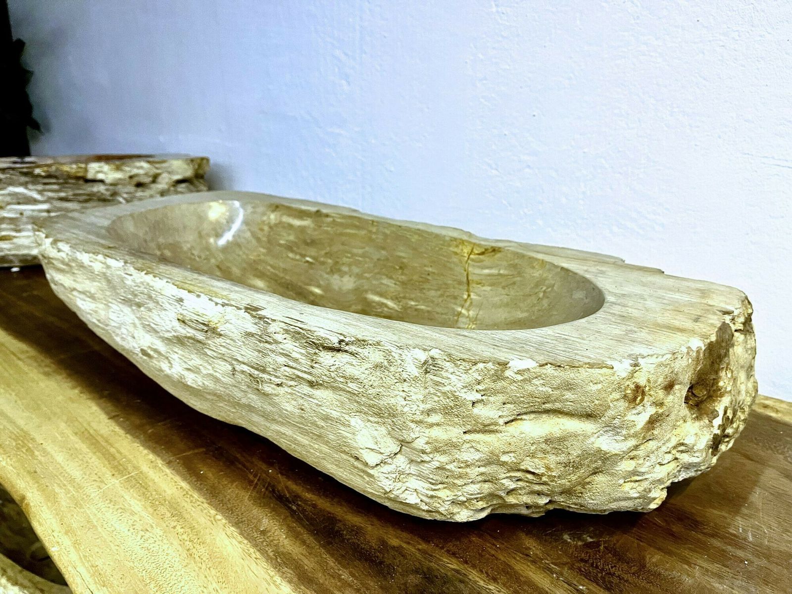 Petrified Wood Sink Grey/ Beige Tones, Polished   Top Quality, Idn 2023 photo buy