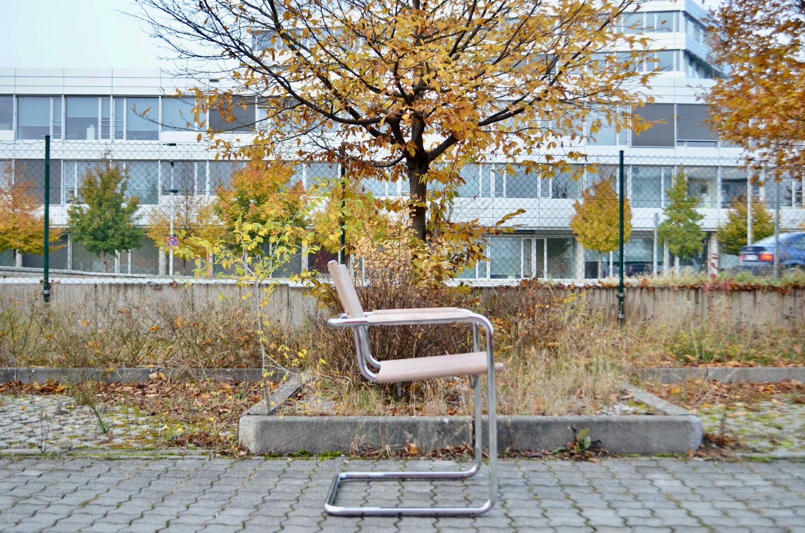 Matteo Grassi Cantilever Mg Skin Coloured Leather Chair By Centro Studi photo vintage