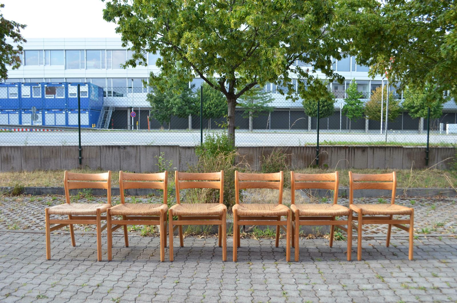 Børge Mogensen Model Bm1 Dining Oak Chairs For C.M. Madsens Set Of 6 photo for sale
