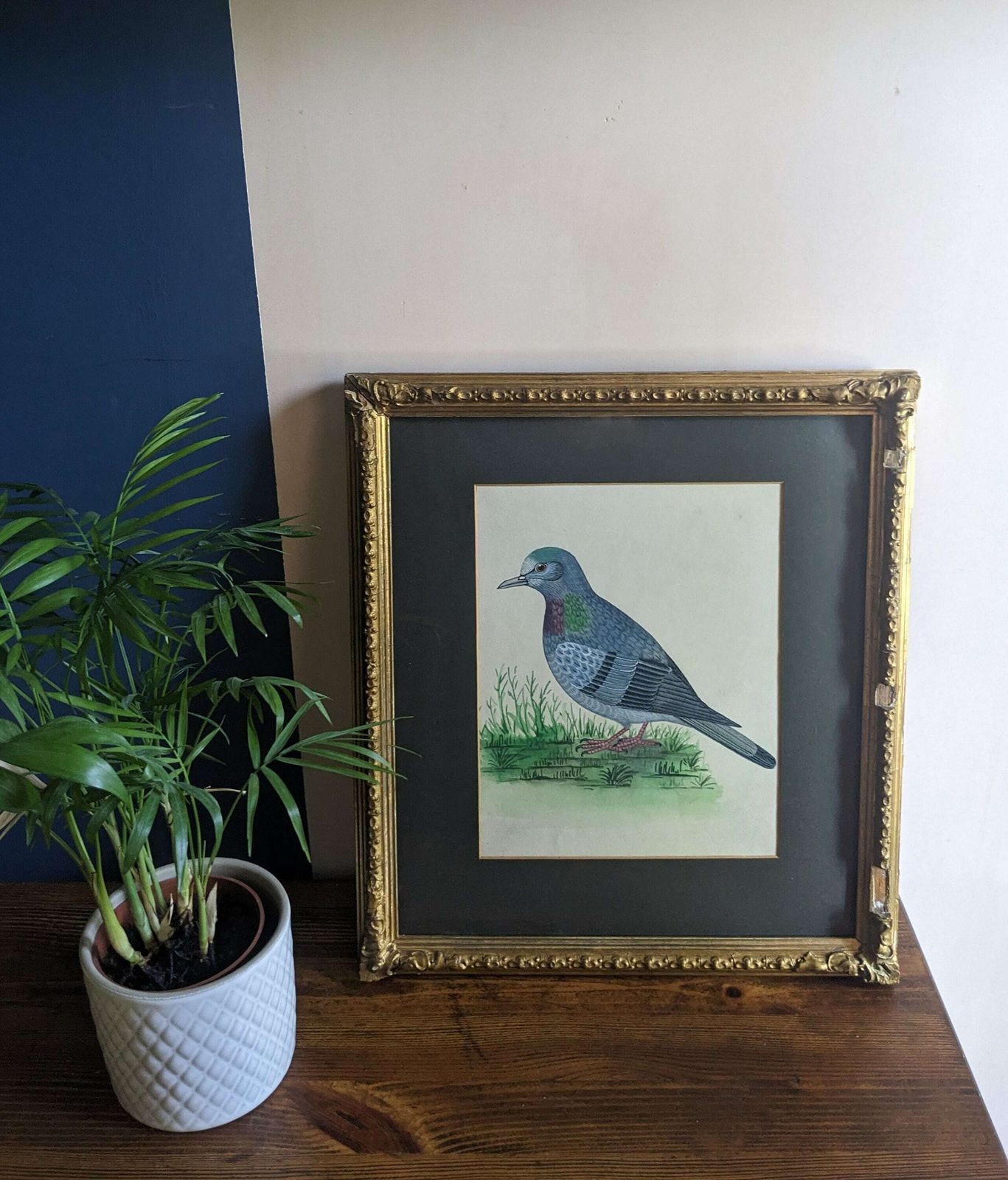 A Fine Original Watercolour Painting Of A Pigeon In An Antique Gilt Frame, Vintage Bird Art