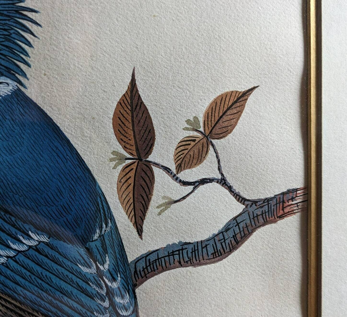 A Very Fine Original Watercolour Painting Of A Blue Kingfisher Bird By Nepalese Artist C.B.S. Dangol photo buy