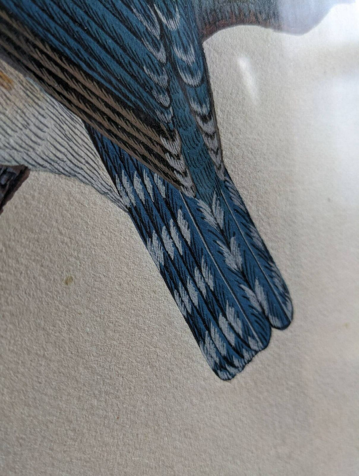 photo furniture A Very Fine Original Watercolour Painting Of A Blue Kingfisher Bird By Nepalese Artist C.B.S. Dangol