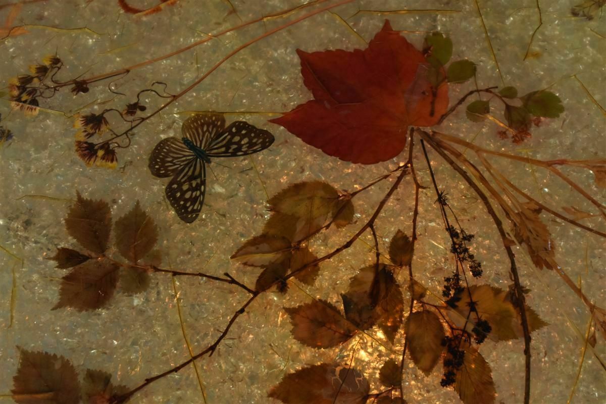 70s Resin Coffee Table Including Butterflies From Accolay photo buy