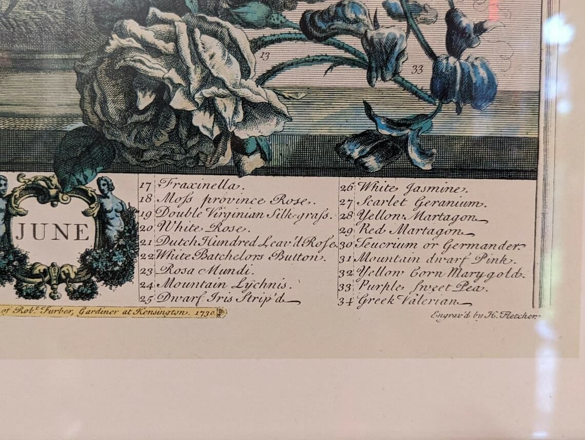 34 Flowers Of June Engraving By H. Fletcher photo Art