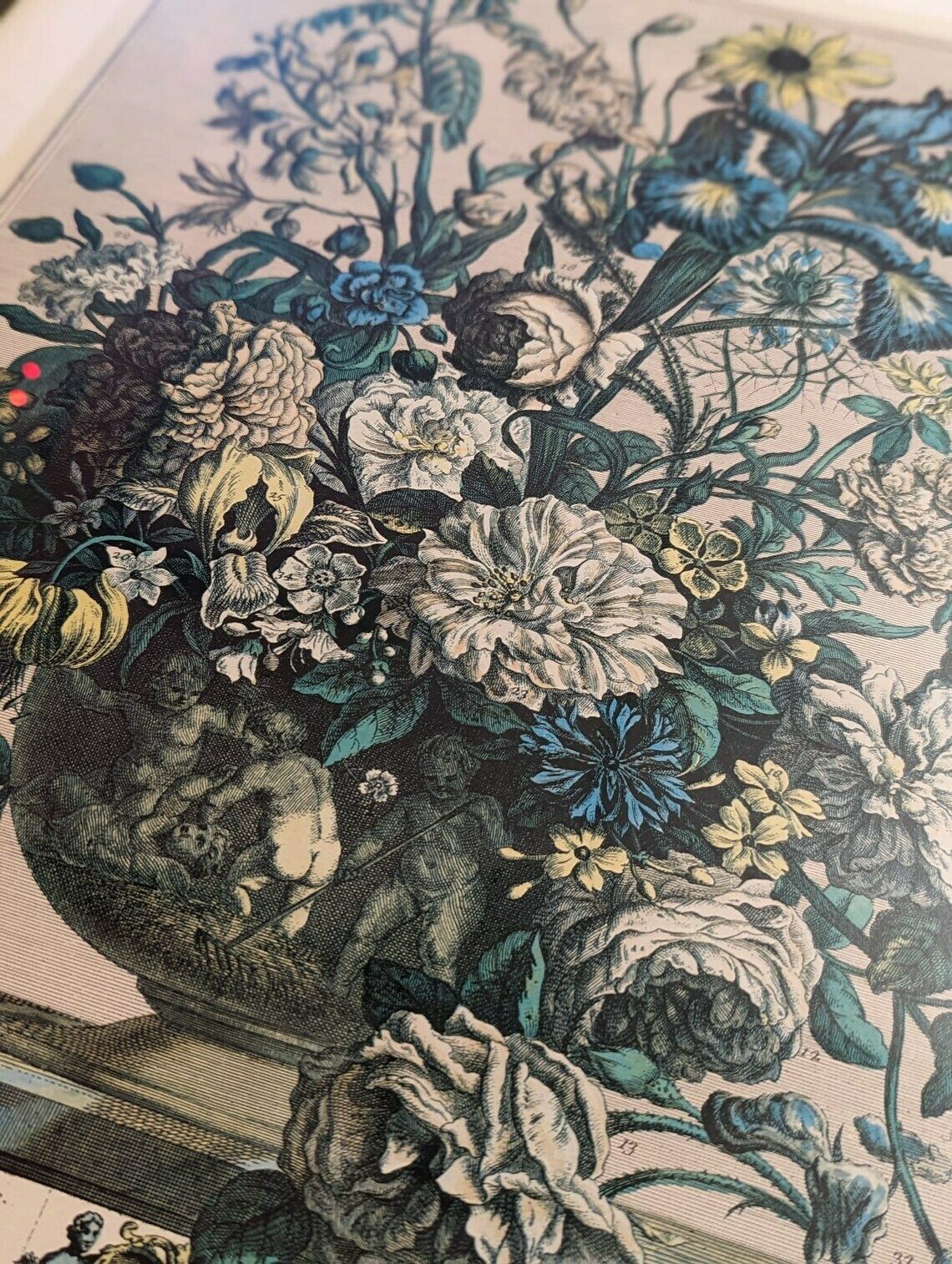 34 Flowers Of June Engraving By H. Fletcher photo 169.0