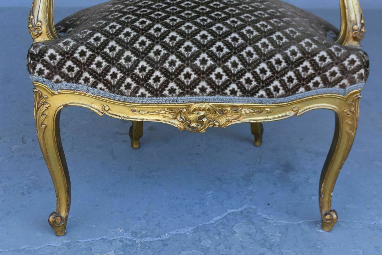 Louis XV Style Golden Wood Chairs Genoa Velvet (Pair) photo for sale
