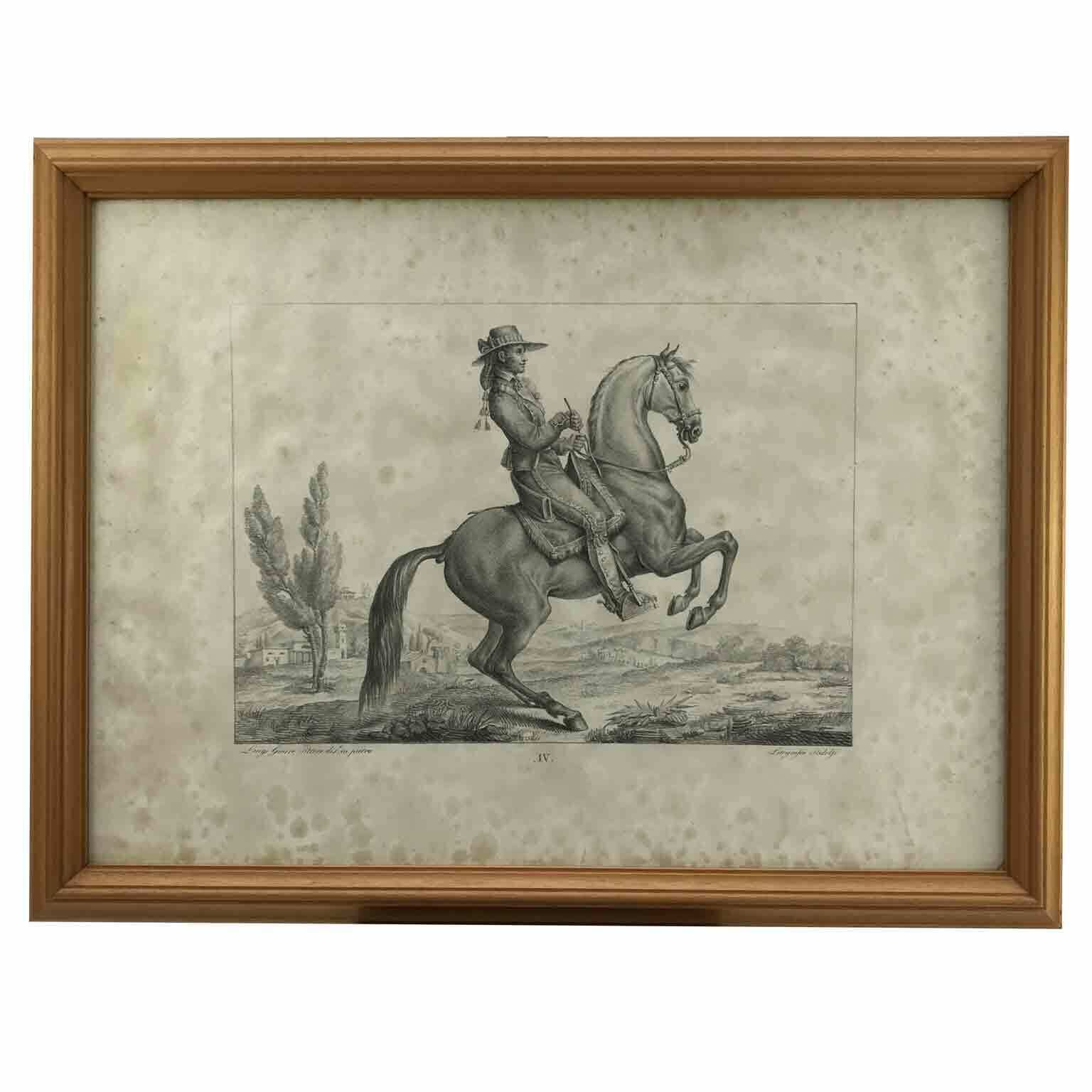 photo furniture Luigi Giarré Horse Breeds Known In Europe Florence 1822