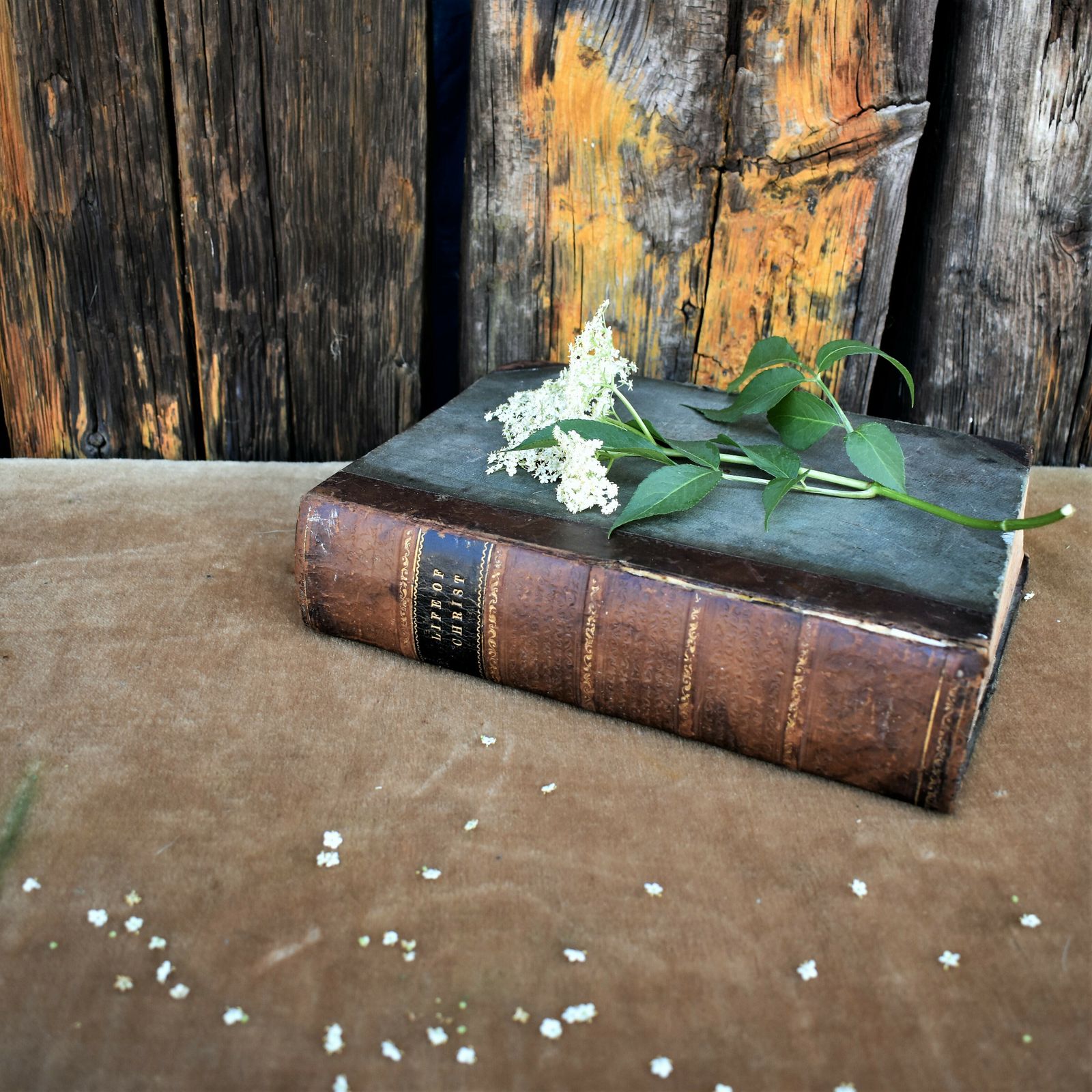 Antique 1850s Life Of Christ Rev John Fleetwood Leather Book Lovely Inscription photo vintage