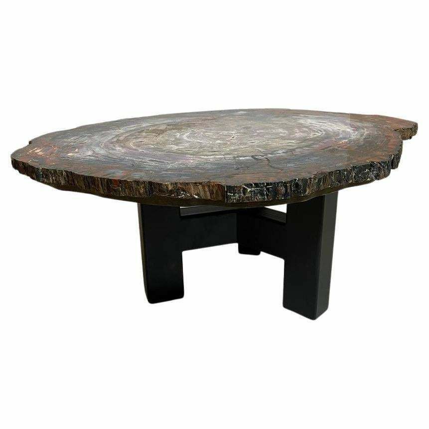 Mid Century Petrifiedwood Coffee Table, Belgium, 1970s