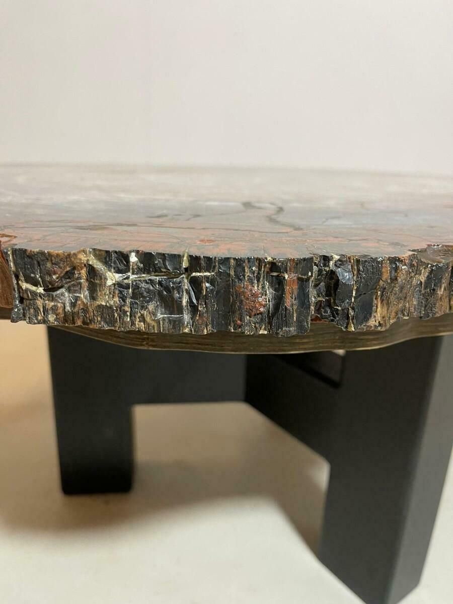 Furniture Mid Century Petrifiedwood Coffee Table, Belgium, 1970s photo