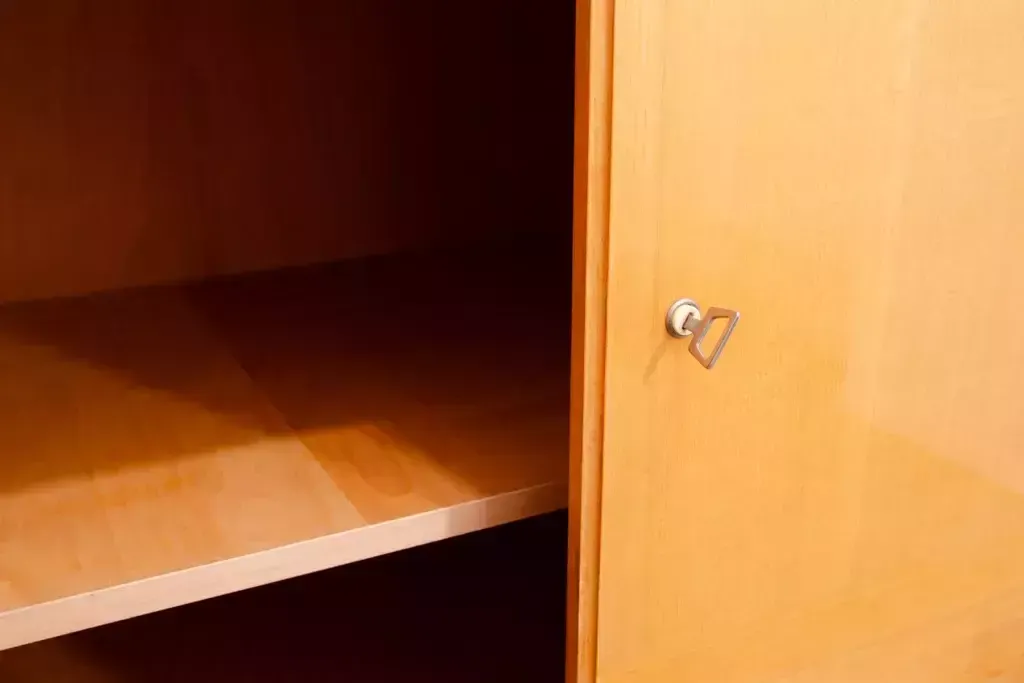571.0 Elegant Vintage Wardrobe From Novy Domov, 1970´S, Czechoslovakia photo