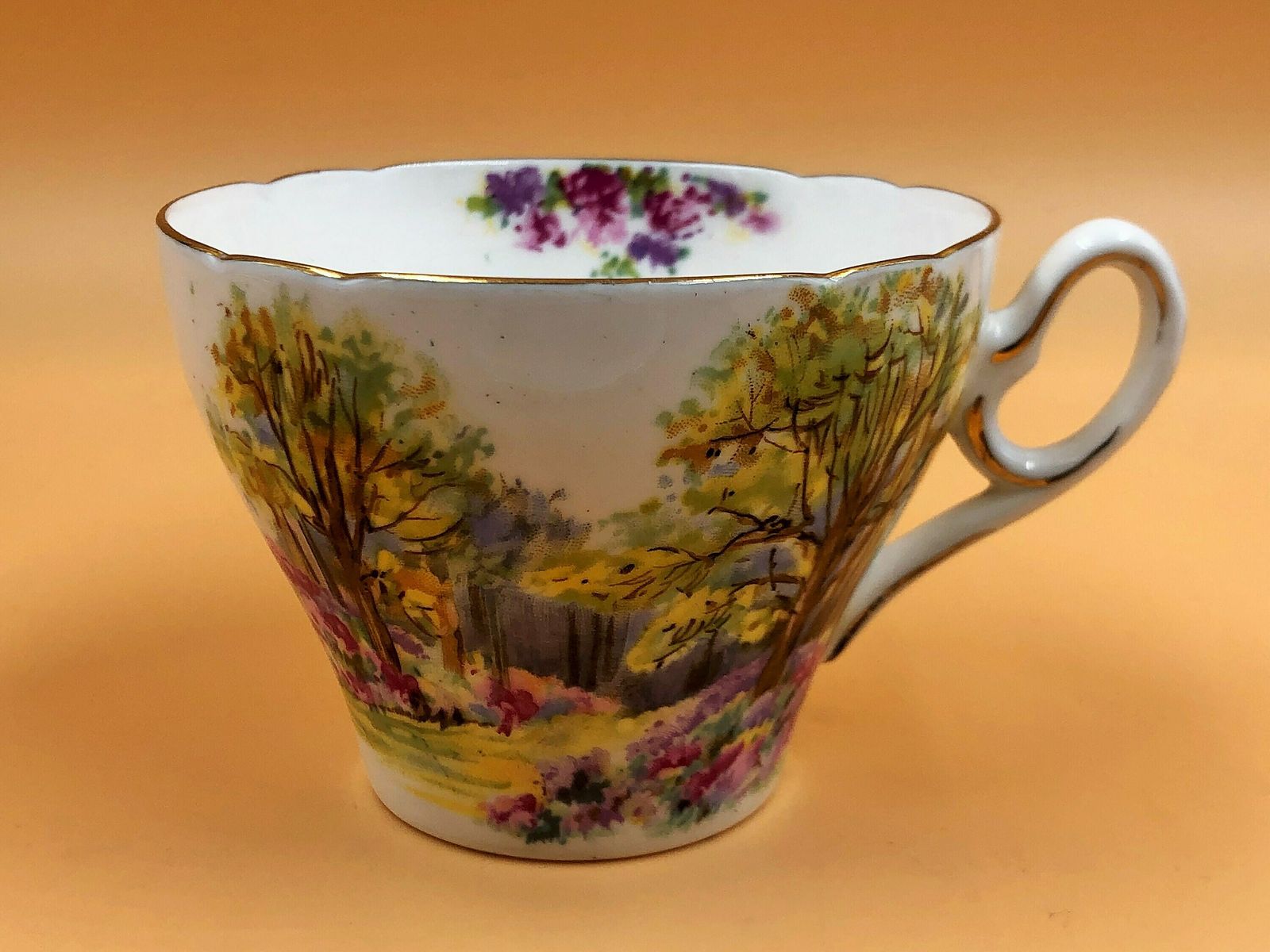 Shelley China England's Charm Cambridge Shape Tea Cup, Saucer And Side Plate Trio. 0188. 823343.   Free Uk Post photo for sale
