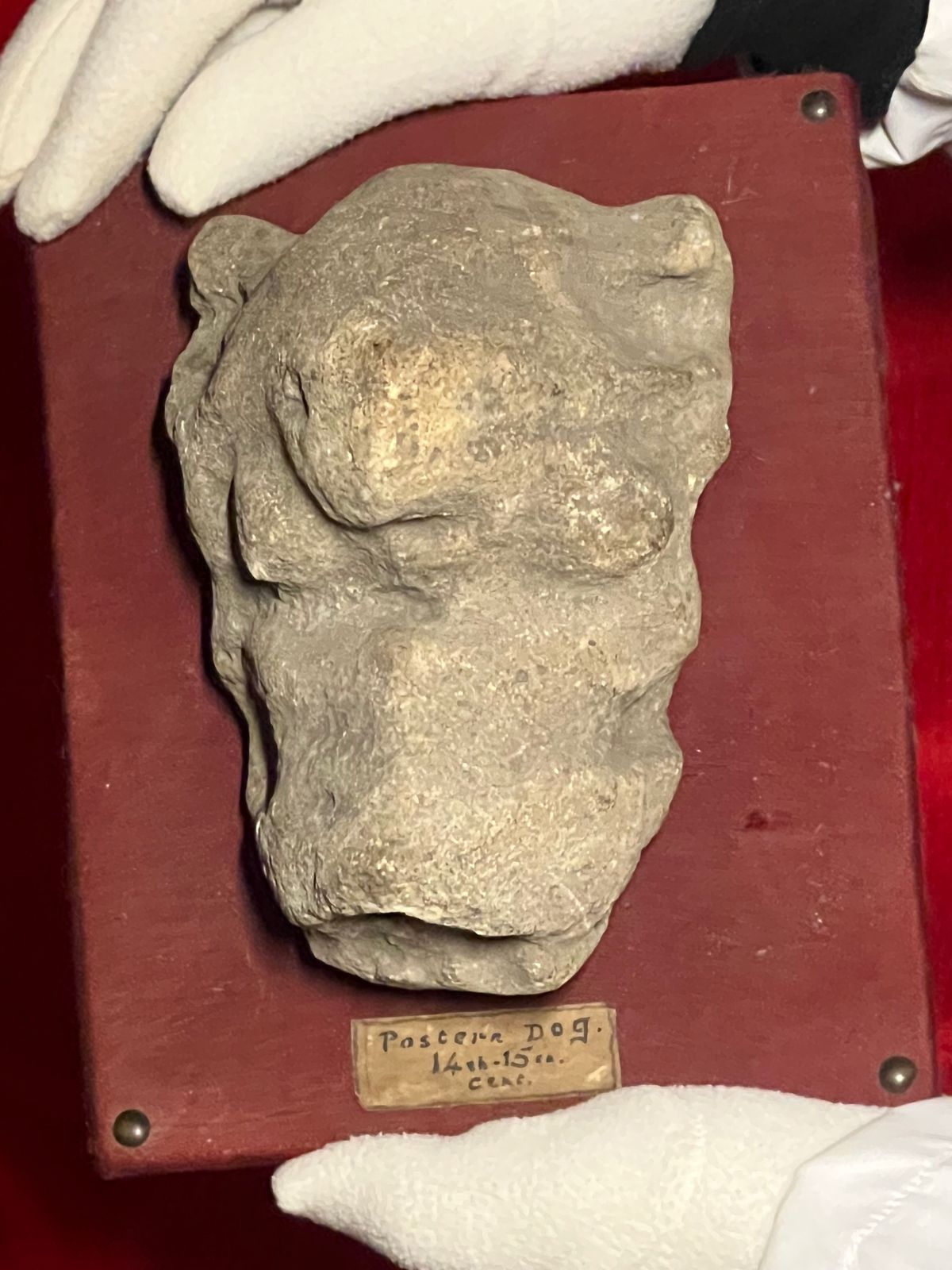 Medieval 14th/15th Century Stone Artifactual Sculpture Of Pastern Dog photo Art