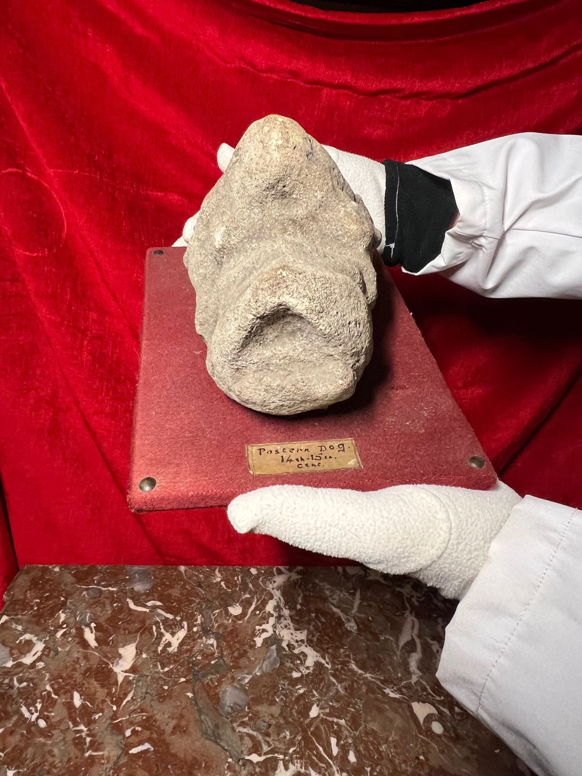 Medieval 14th/15th Century Stone Artifactual Sculpture Of Pastern Dog photo buy