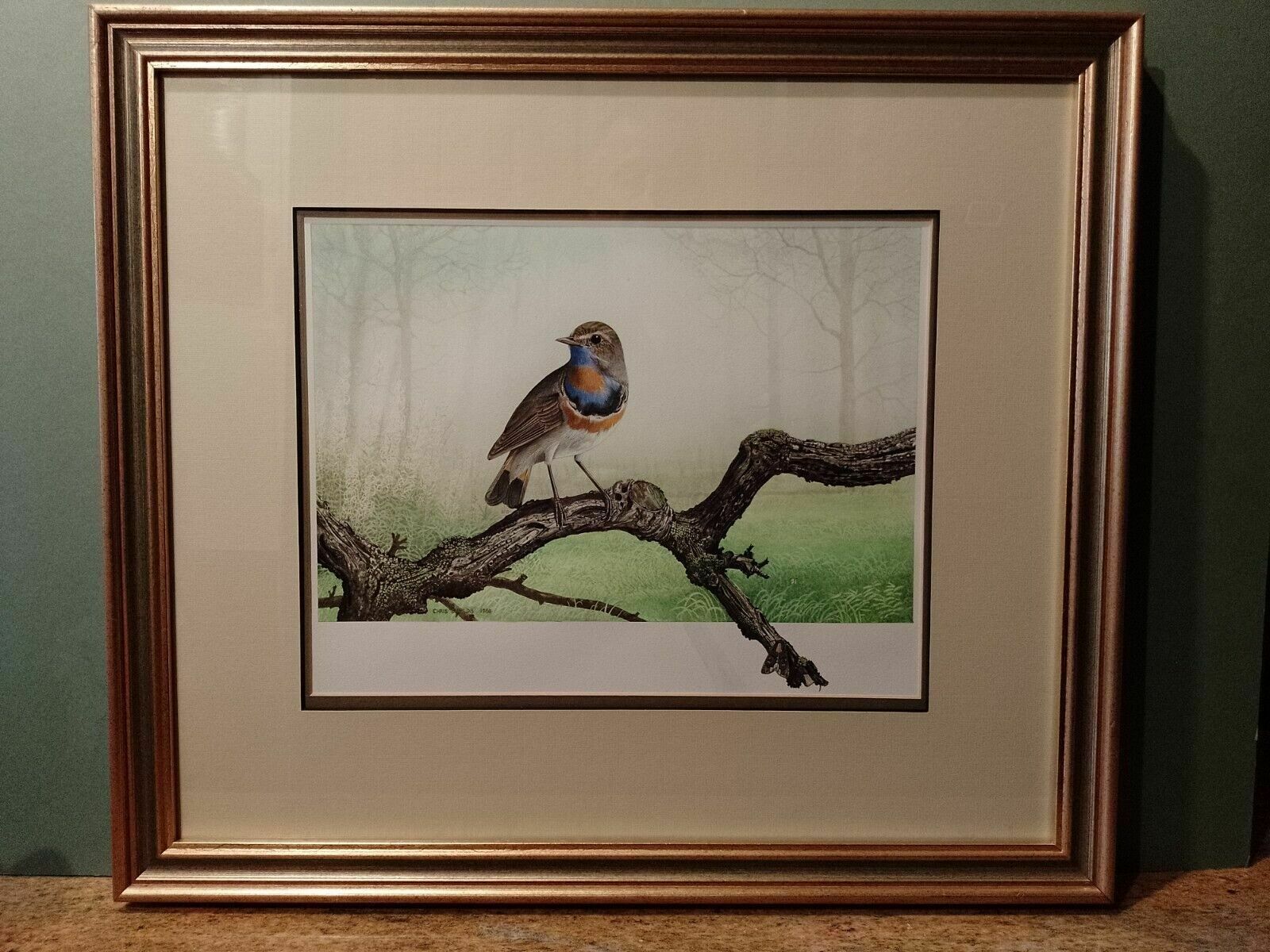 Signed Original Ornithology Gouache Painting Of Bird Bluethroat Chris Shields photo vinterior