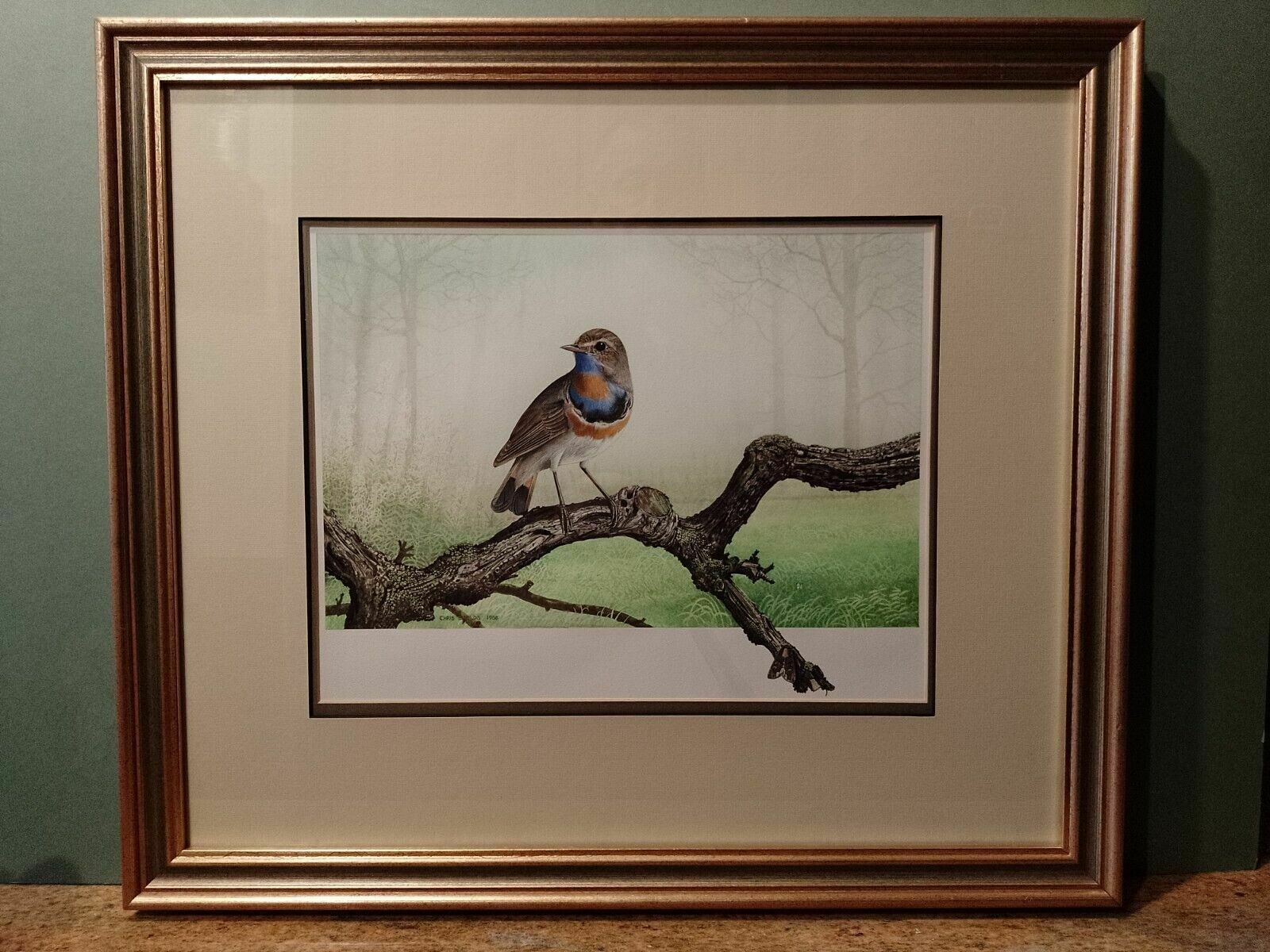 photo buy Signed Original Ornithology Gouache Painting Of Bird Bluethroat Chris Shields