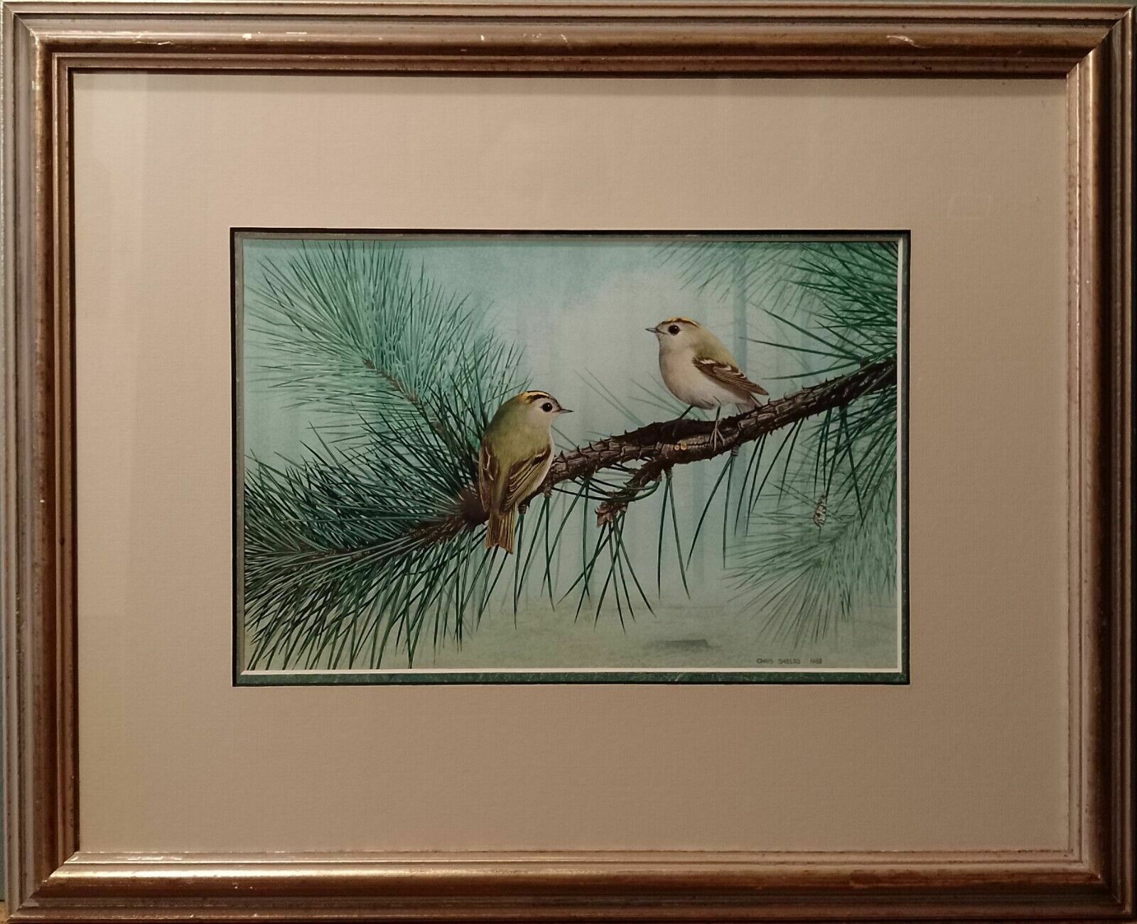 Signed Original Ornithology Gouache Painting Of Birds Chris Shields Goldcrests
