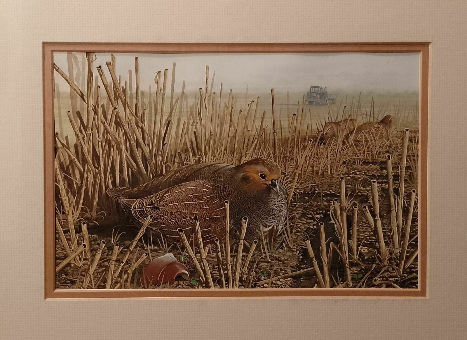 Signed Original Ornithology Gouache Painting Of Birds Chris Shields Grouse photo furniture