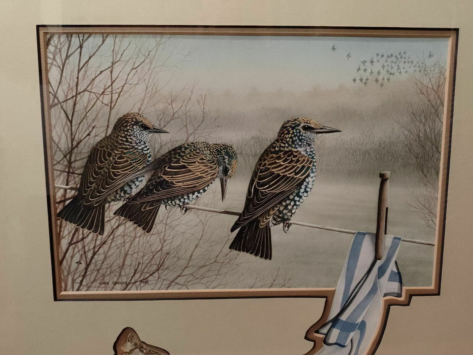 Art Signed Original Ornithology Gouache Painting Of Bird 3 Starlings Chris Shields photo