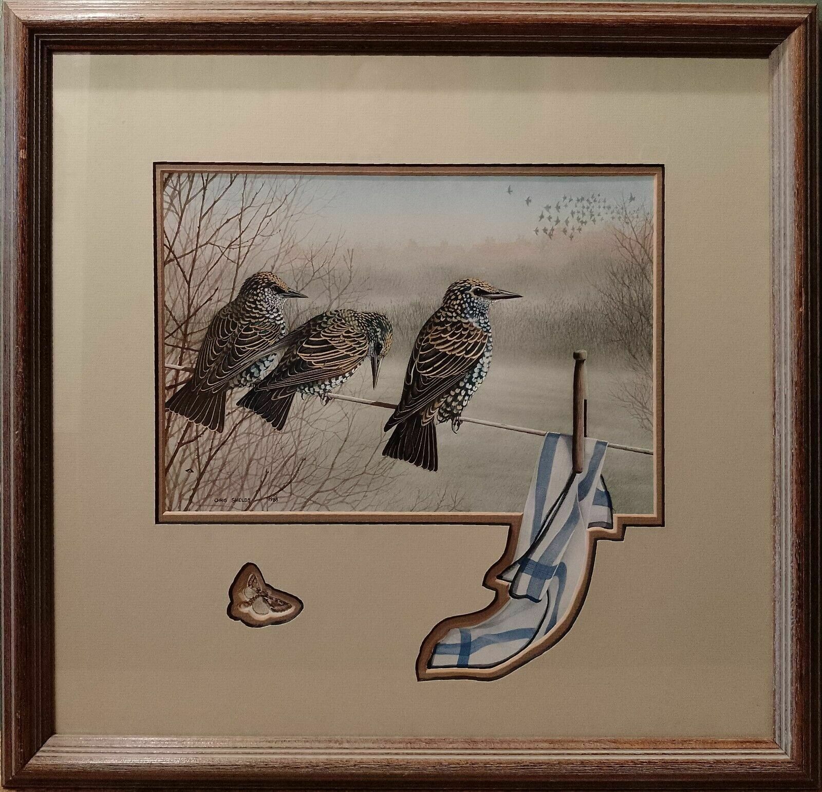 299.0 Signed Original Ornithology Gouache Painting Of Bird 3 Starlings Chris Shields photo