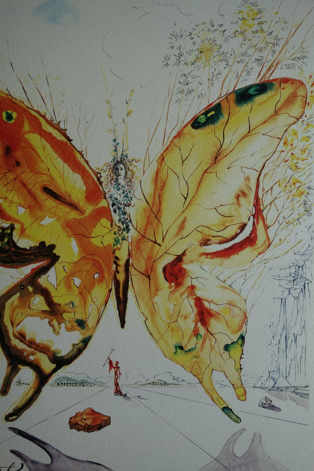 Fine Surrealist Limited Edition Print, Butterfly, Salvador Dali, Signed & Numbered In Pencil photo for sale