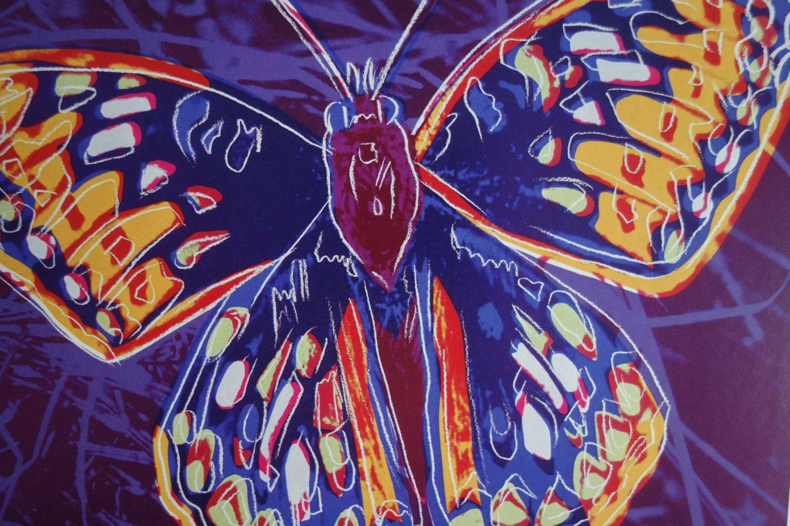 Fine Pop Art Limited Edition Print   Animal Series   Butterfly, Andy Warhol, Signed & Numbered photo furniture