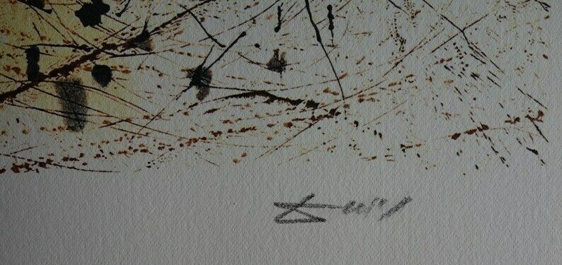 Fine Surrealist Limited Edition Print, Woman, Salvador Dali, Signed & Numbered In Pencil photo Art