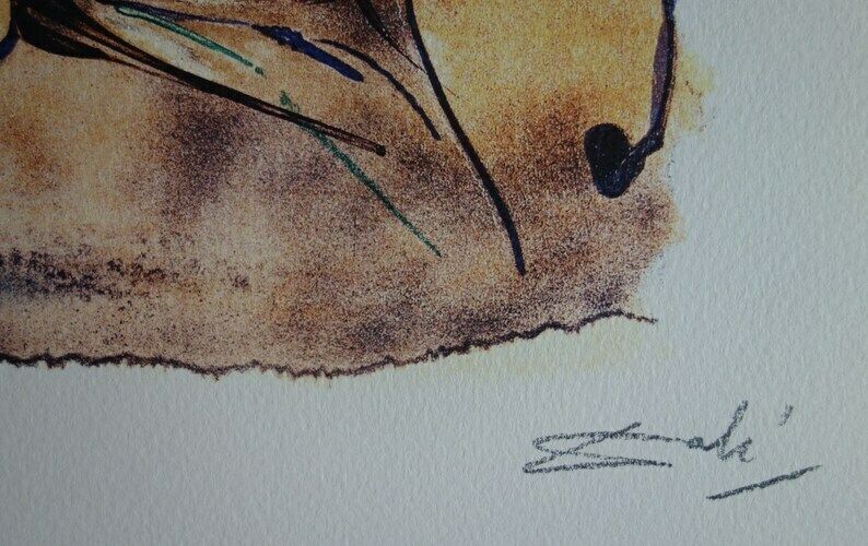 Fine Surrealist Limited Edition Print, Salvador Dali, Signed & Numbered In Pencil photo Art