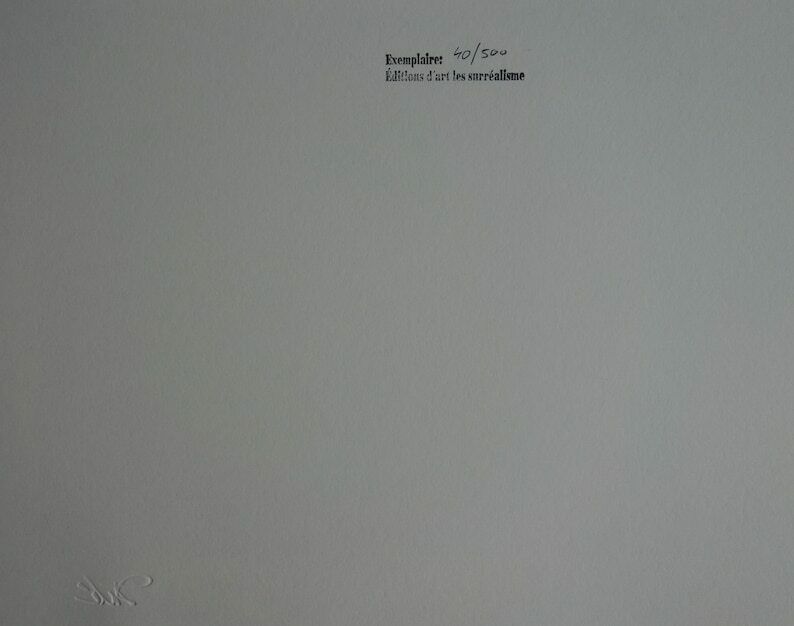 Fine Surrealist Limited Edition Print, Salvador Dali, Signed & Numbered In Pencil photo 178.0