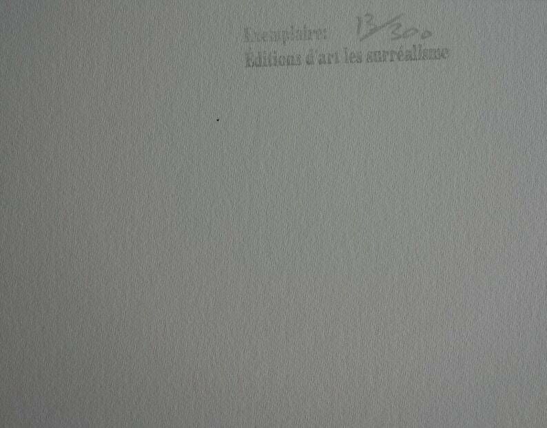 Fine Surrealist Limited Edition Print, Salvador Dali, Signed & Numbered In Pencil photo vinterior