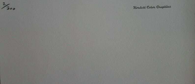 Fine Pop Art Limited Edition Print   Illustration   Ice Cream, Andy Warhol, Signed & Numbered photo Art