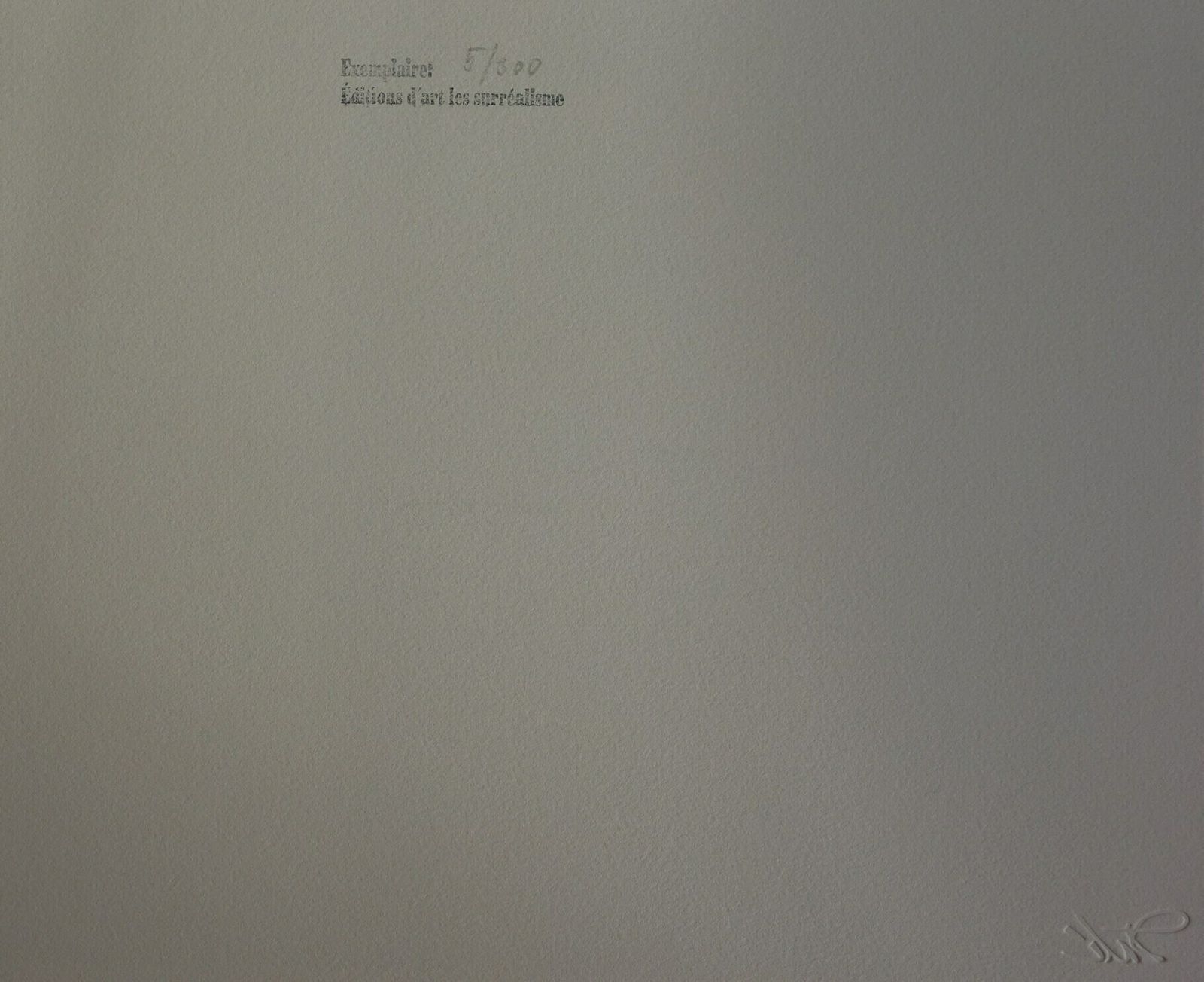 Fine Surrealist Limited Edition Print, Salvador Dali, Signed & Numbered In Pencil photo 125.0