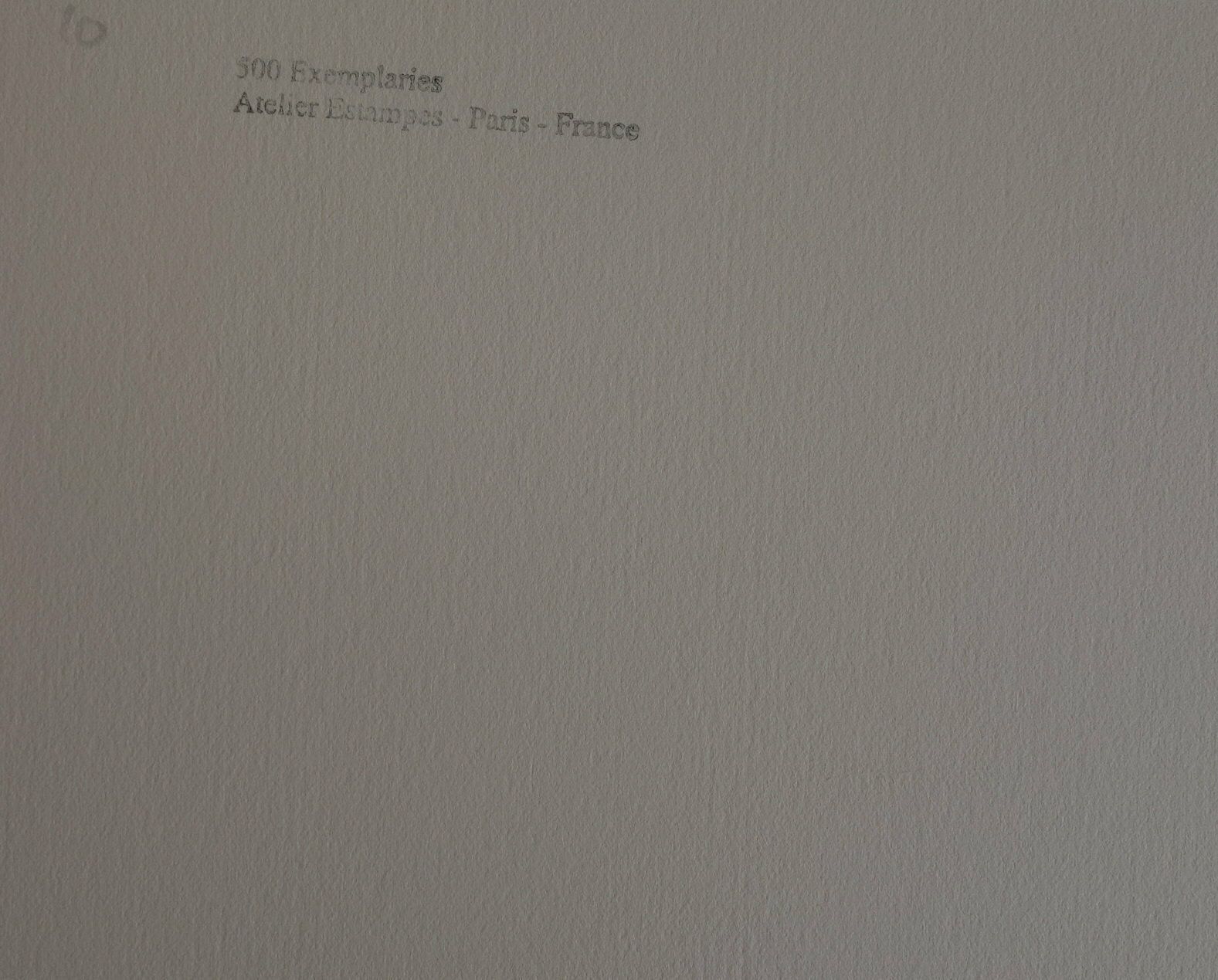 Fine Cubist Limited Edition Print – Still Life, Pablo Picasso, Signed & Numbered photo 156.0