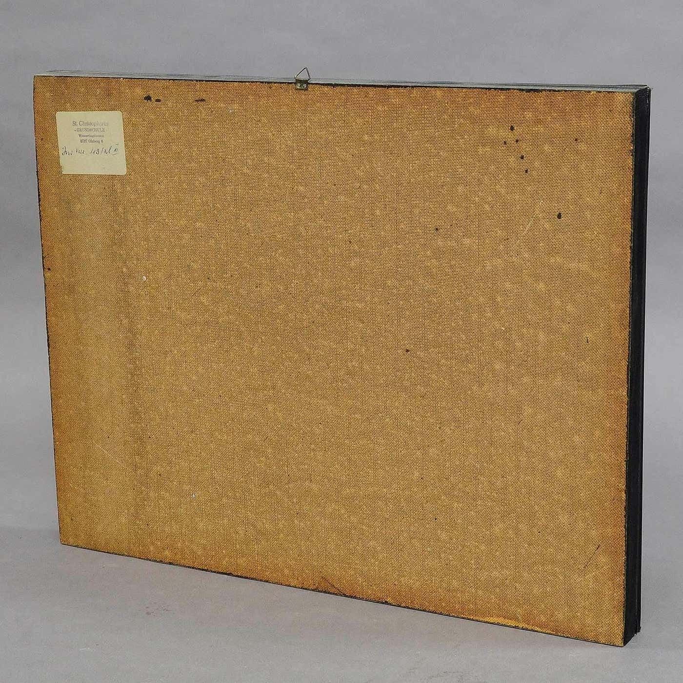 Vintage Schoolvitrine Met Insecten Van Het Grasland photo buy