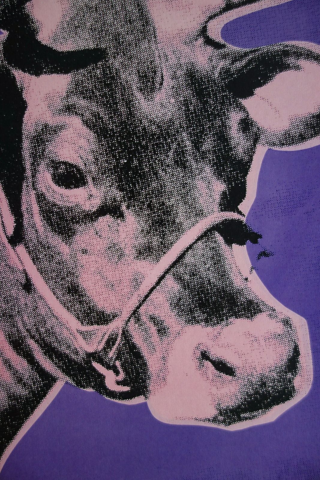 Fine Pop Art Limited Edition Print – Cow, Andy Warhol, Signed & Numbered With Estate Stamp photo for sale